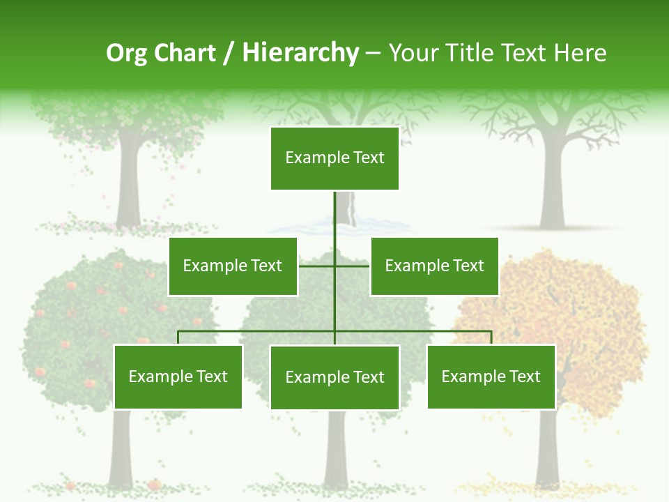 A Group Of Trees With Different Types Of Leaves PowerPoint Template