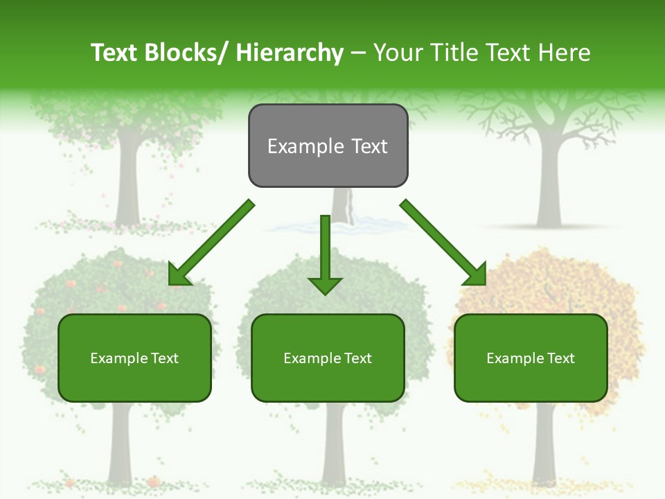 A Group Of Trees With Different Types Of Leaves PowerPoint Template