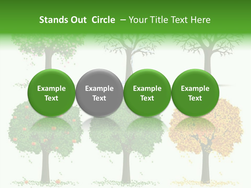 A Group Of Trees With Different Types Of Leaves PowerPoint Template