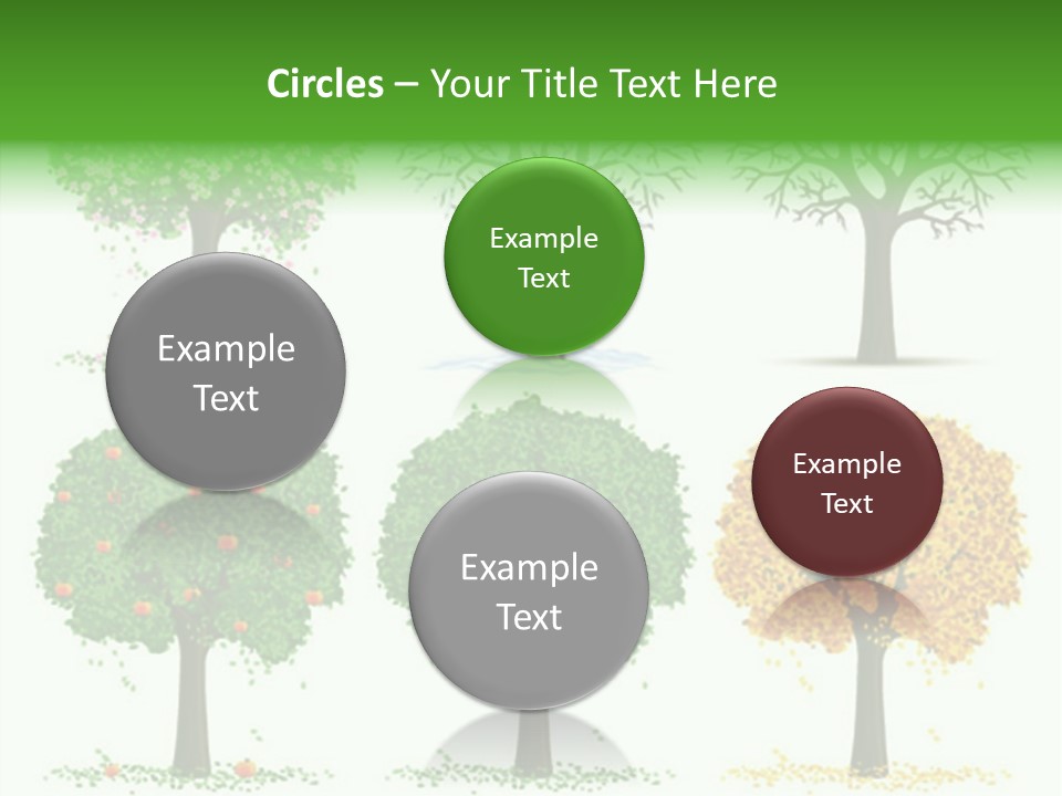 A Group Of Trees With Different Types Of Leaves PowerPoint Template