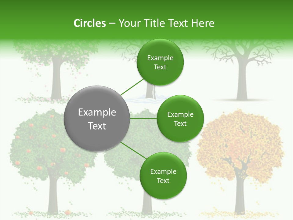 A Group Of Trees With Different Types Of Leaves PowerPoint Template