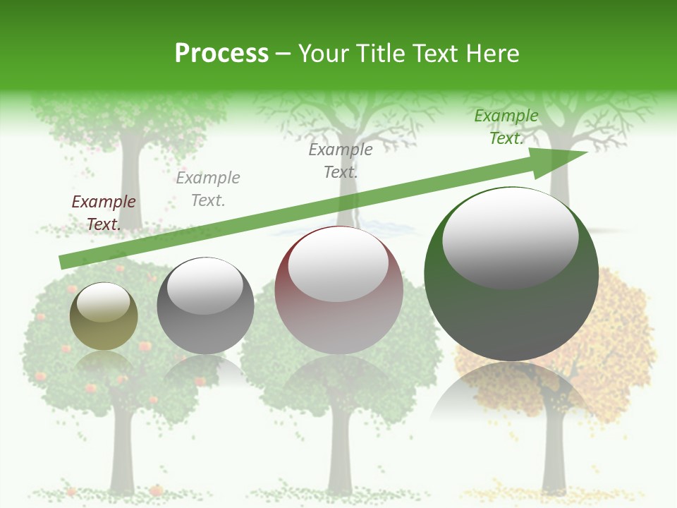 A Group Of Trees With Different Types Of Leaves PowerPoint Template