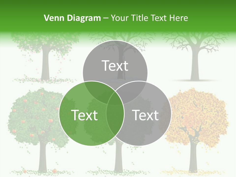 A Group Of Trees With Different Types Of Leaves PowerPoint Template
