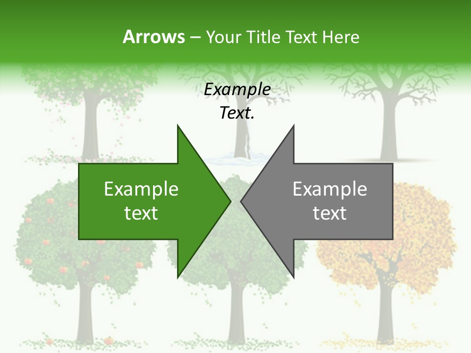 A Group Of Trees With Different Types Of Leaves PowerPoint Template