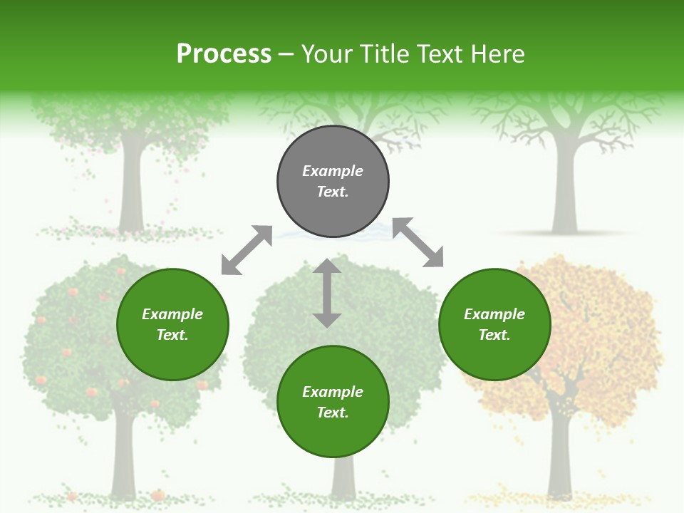 A Group Of Trees With Different Types Of Leaves PowerPoint Template
