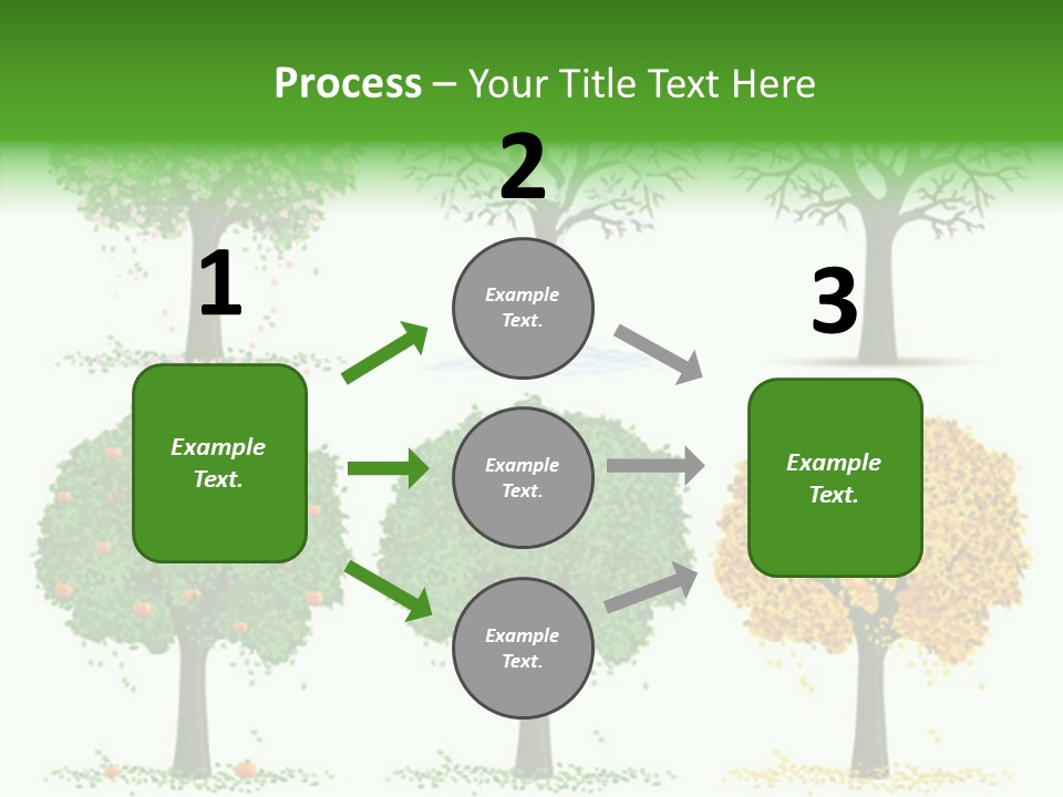 A Group Of Trees With Different Types Of Leaves PowerPoint Template