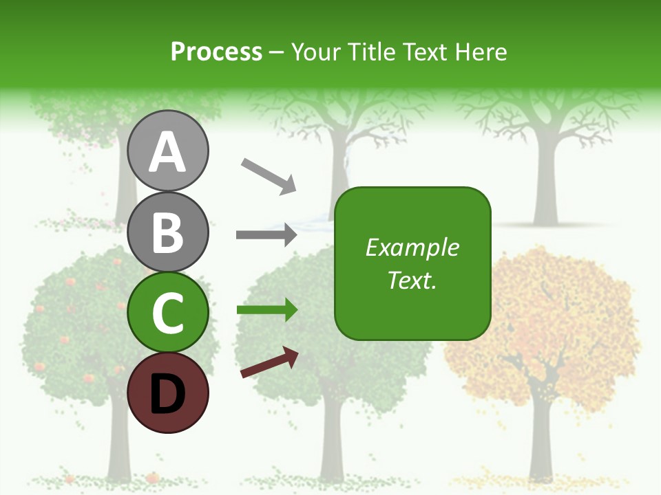 A Group Of Trees With Different Types Of Leaves PowerPoint Template