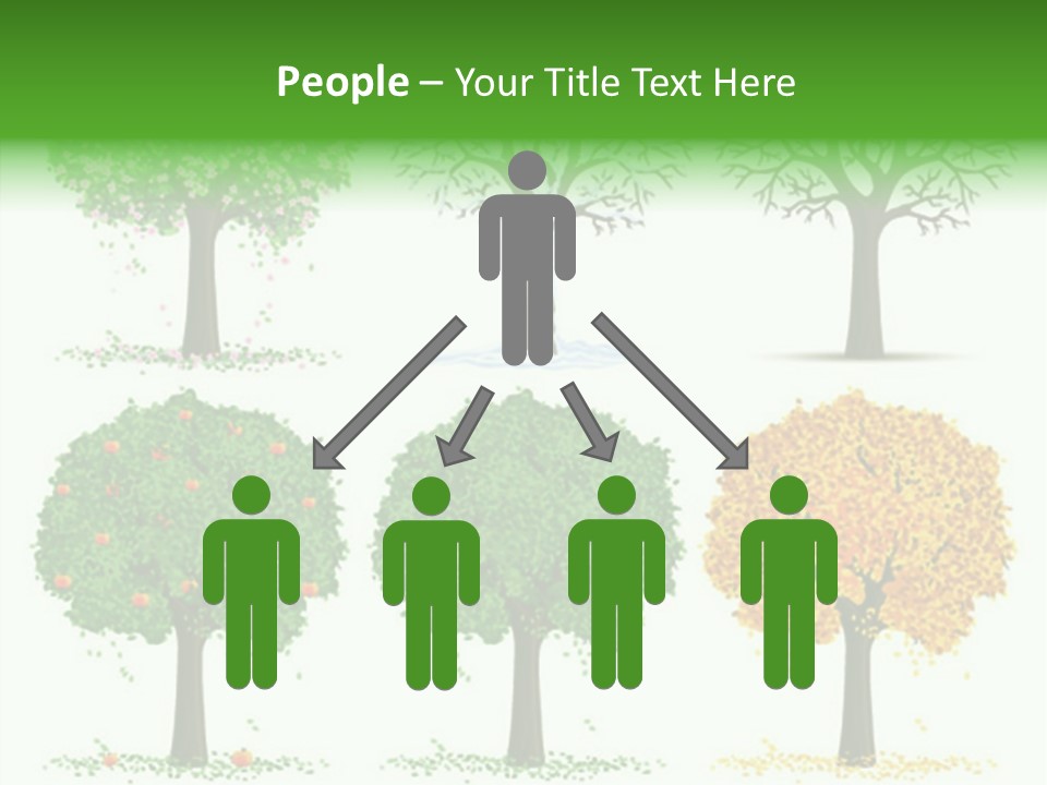 A Group Of Trees With Different Types Of Leaves PowerPoint Template