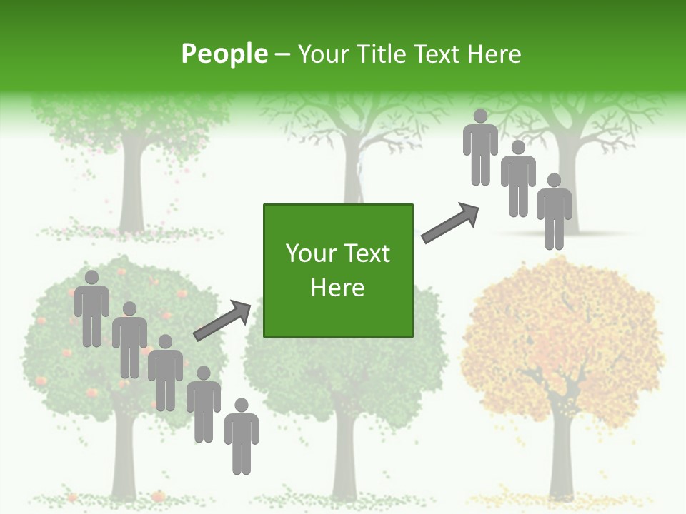 A Group Of Trees With Different Types Of Leaves PowerPoint Template