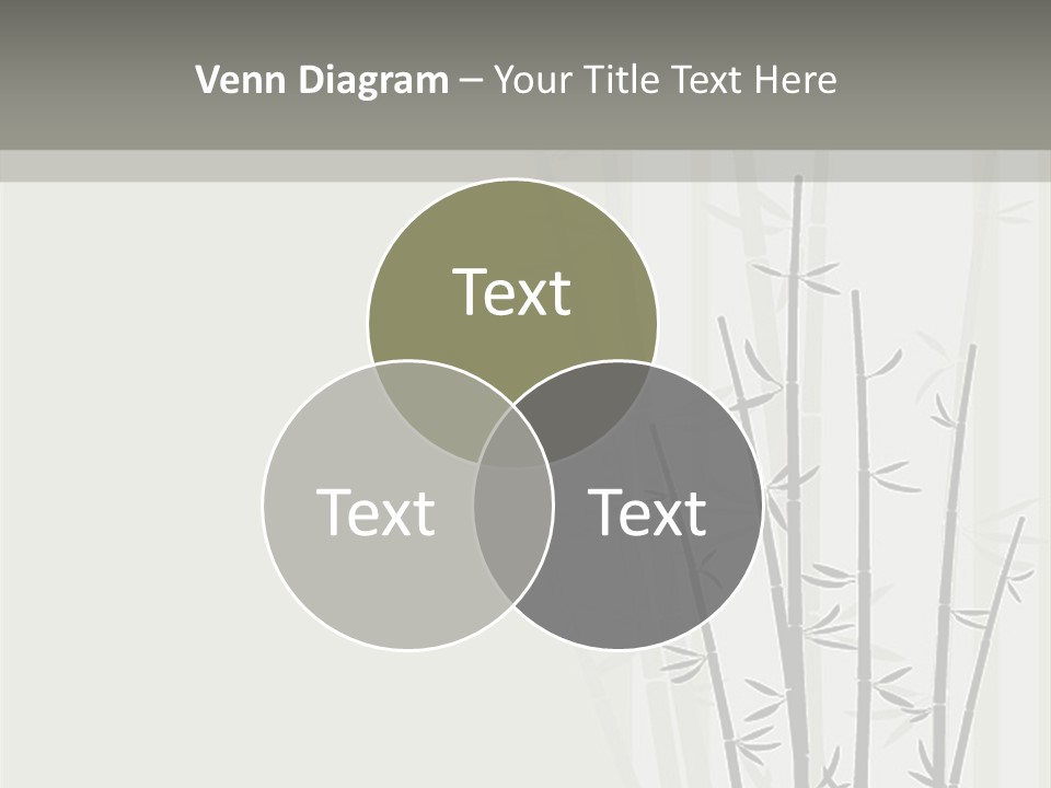 A Bamboo Tree Is Shown With A Gray Background PowerPoint Template