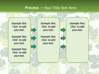Beautiful Climate Botanical PowerPoint Template