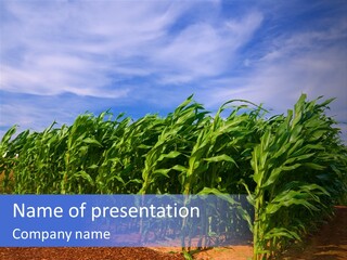 Environment Sunny Blue PowerPoint Template