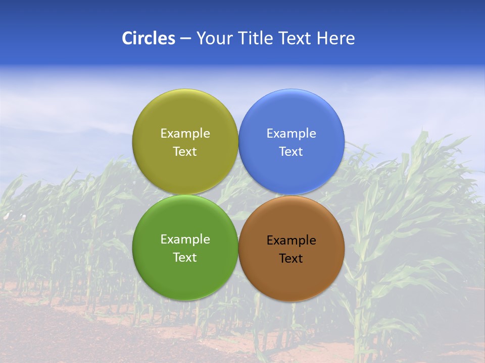 Environment Sunny Blue PowerPoint Template
