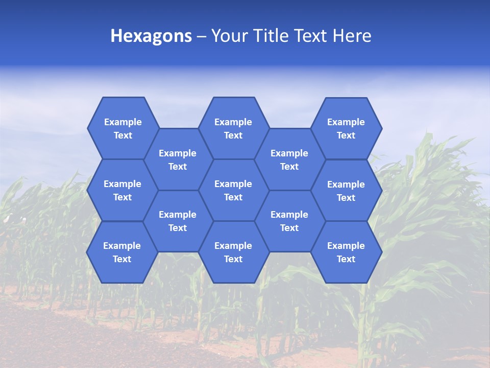 Environment Sunny Blue PowerPoint Template