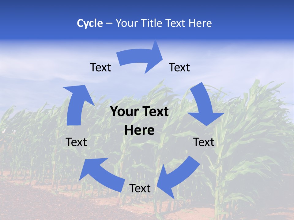 Environment Sunny Blue PowerPoint Template