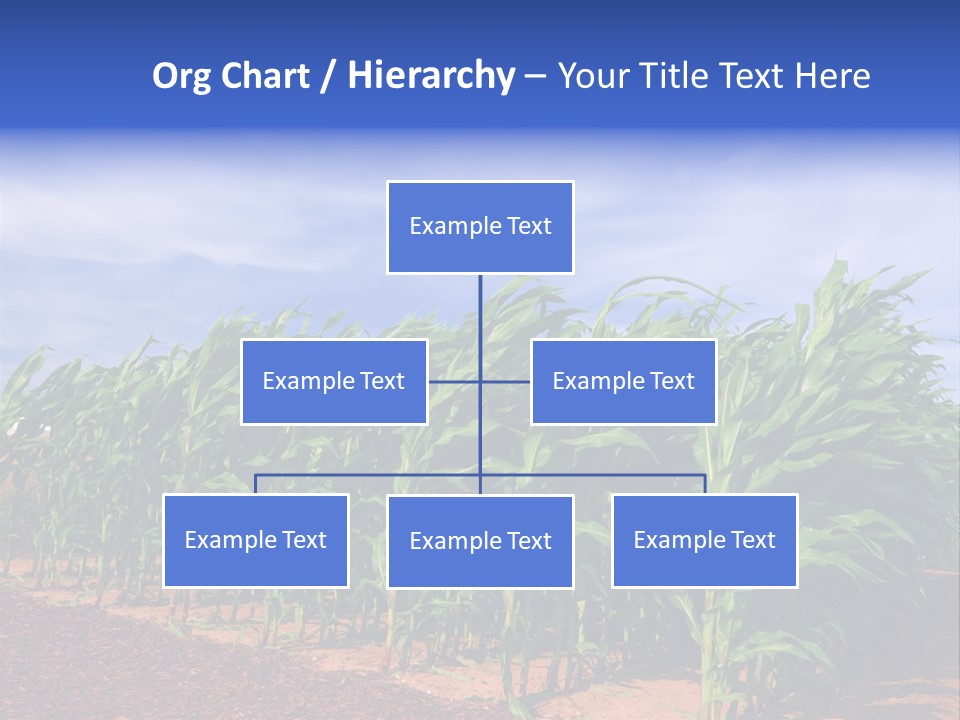 Environment Sunny Blue PowerPoint Template