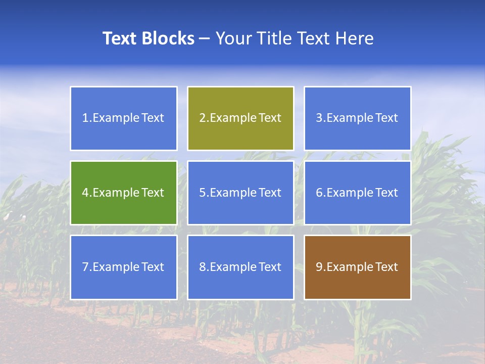 Environment Sunny Blue PowerPoint Template