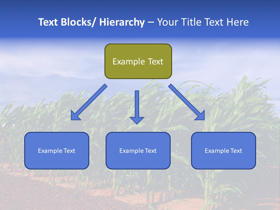 Environment Sunny Blue PowerPoint Template