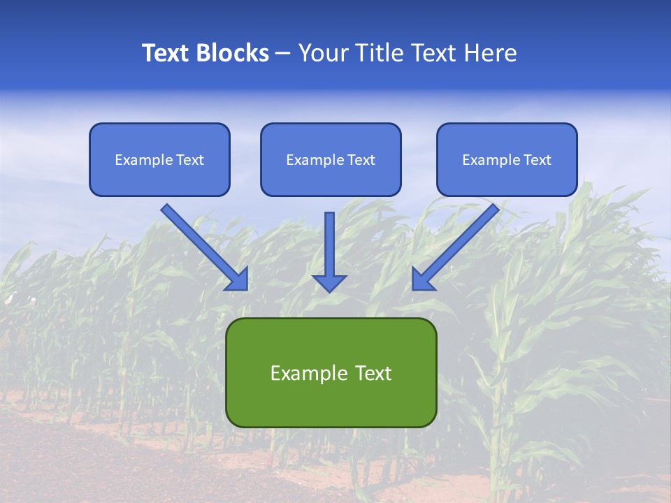 Environment Sunny Blue PowerPoint Template