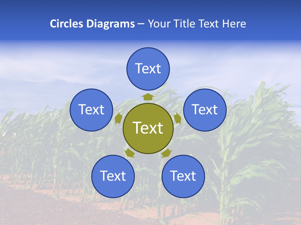 Environment Sunny Blue PowerPoint Template