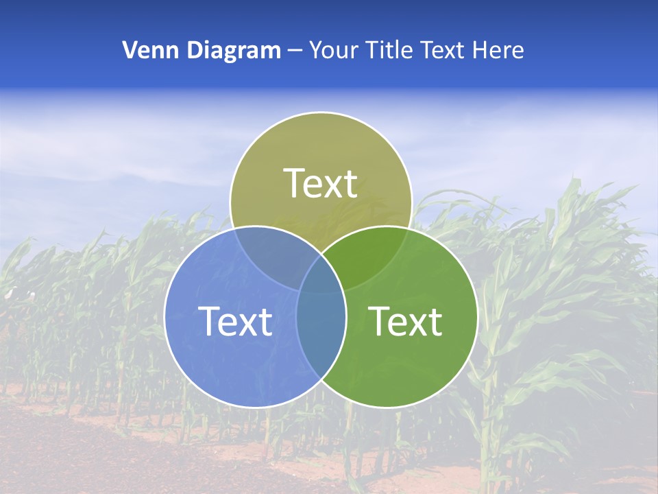 Environment Sunny Blue PowerPoint Template