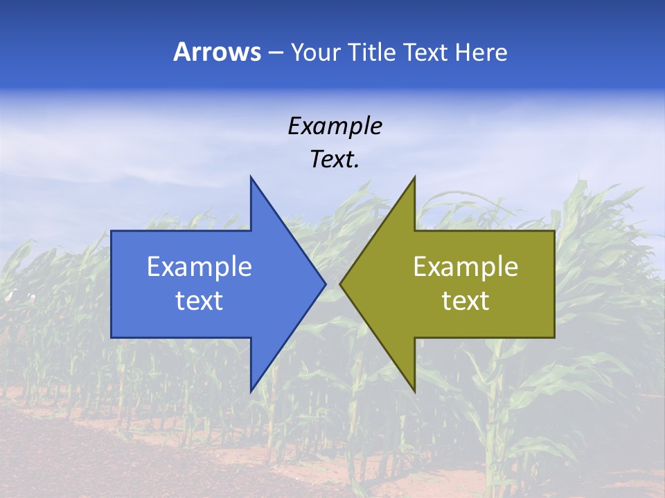 Environment Sunny Blue PowerPoint Template