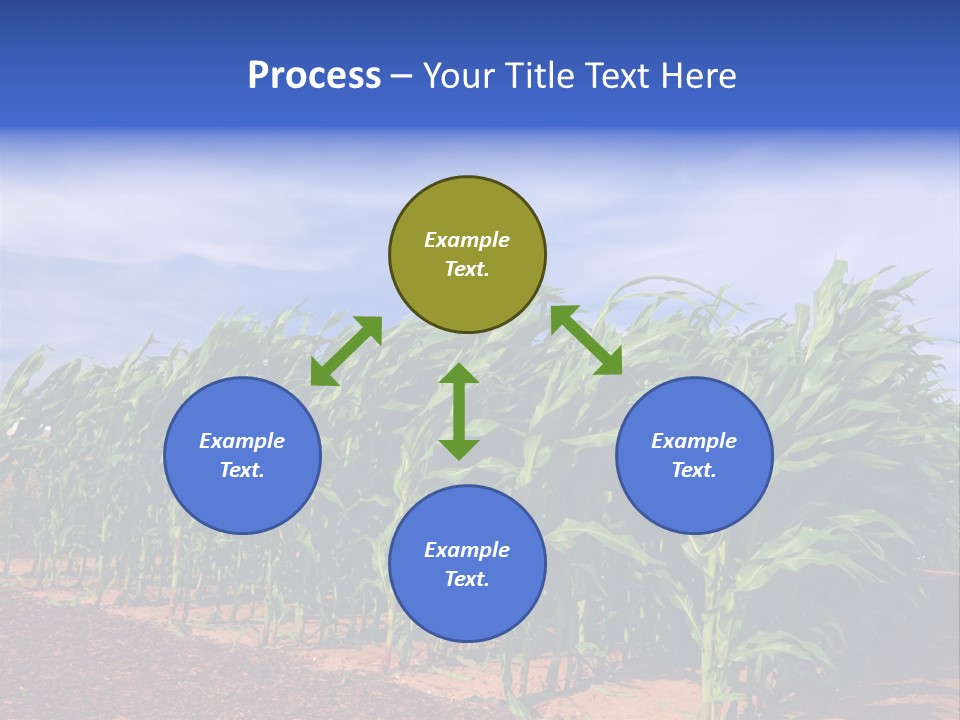 Environment Sunny Blue PowerPoint Template