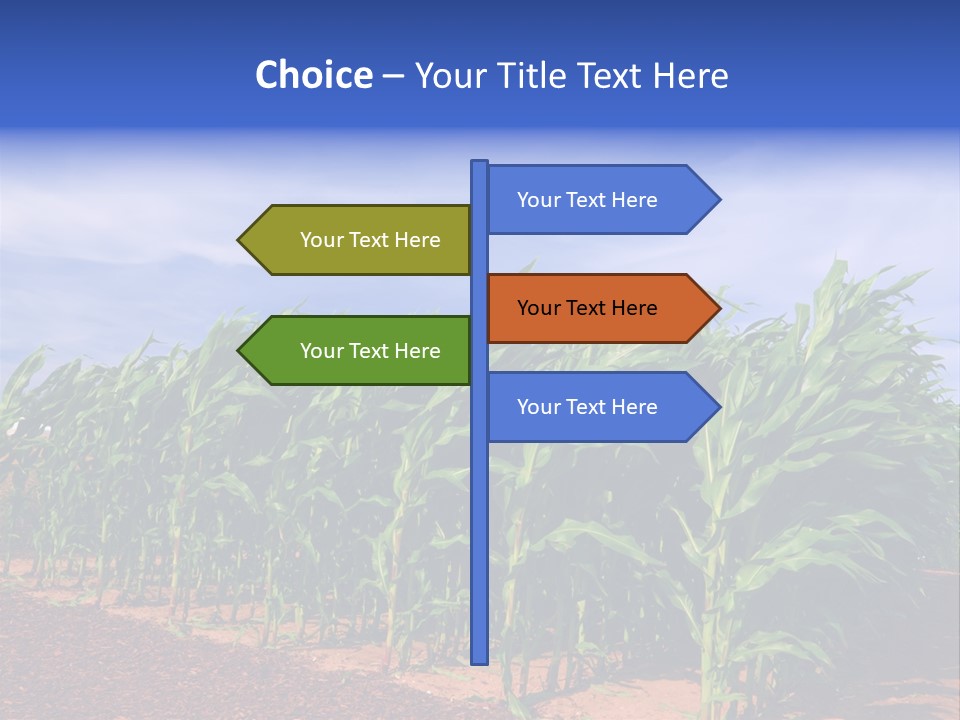 Environment Sunny Blue PowerPoint Template