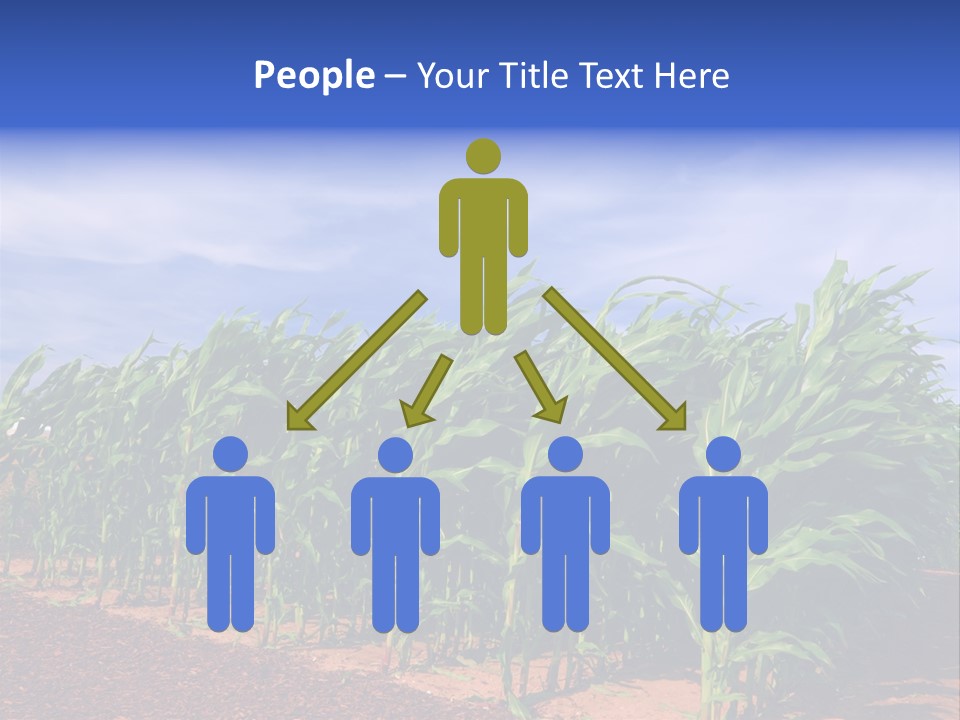 Environment Sunny Blue PowerPoint Template