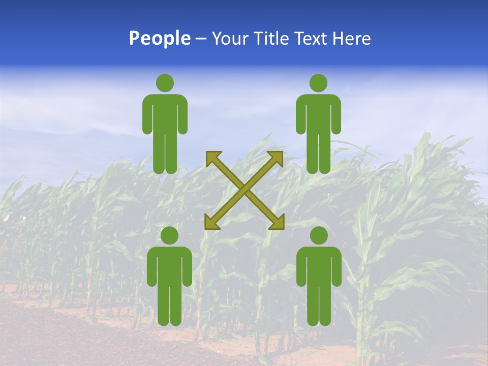 Environment Sunny Blue PowerPoint Template