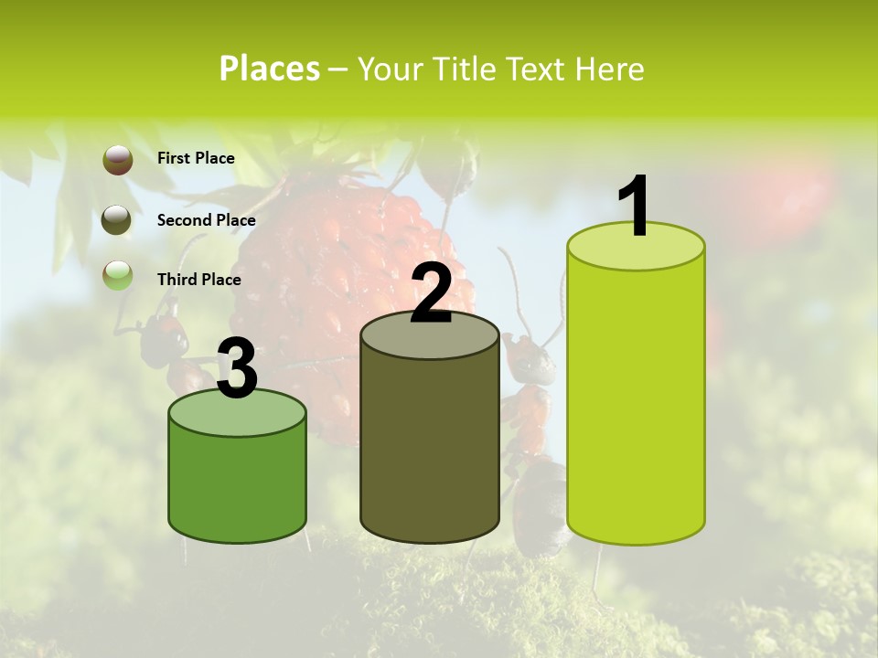 Ants Macro Tasty PowerPoint Template