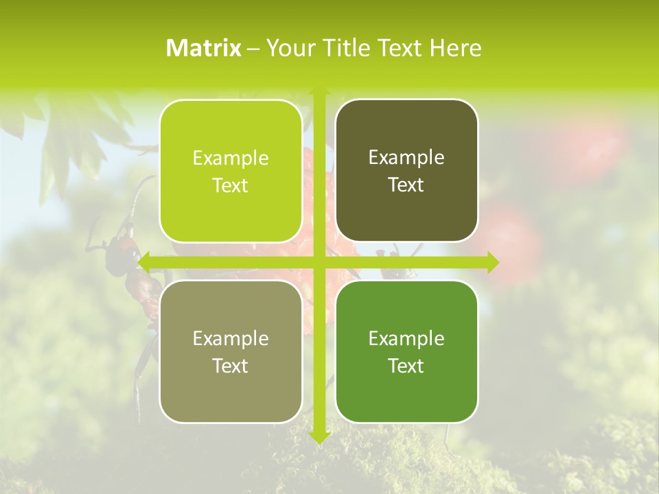 Ants Macro Tasty PowerPoint Template