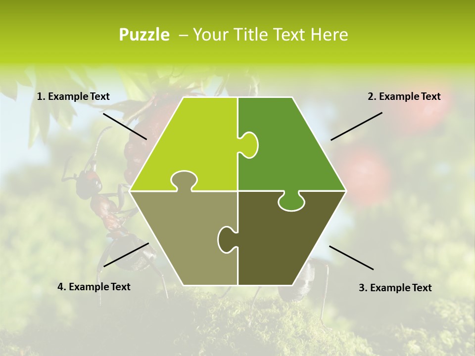 Ants Macro Tasty PowerPoint Template