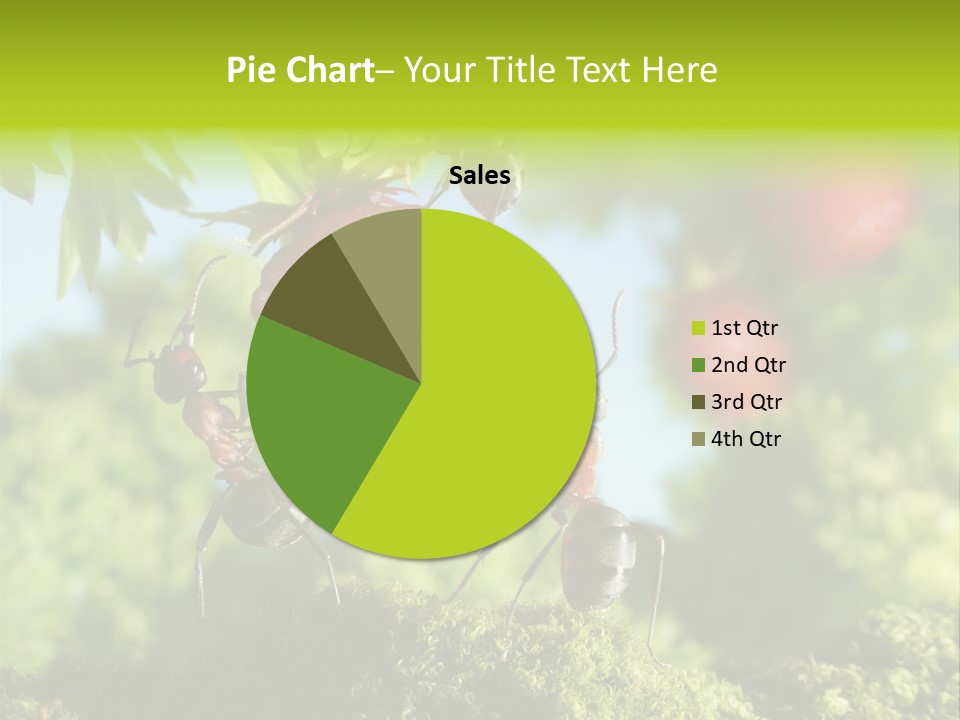 Ants Macro Tasty PowerPoint Template
