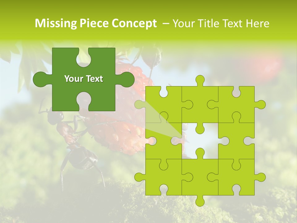 Ants Macro Tasty PowerPoint Template