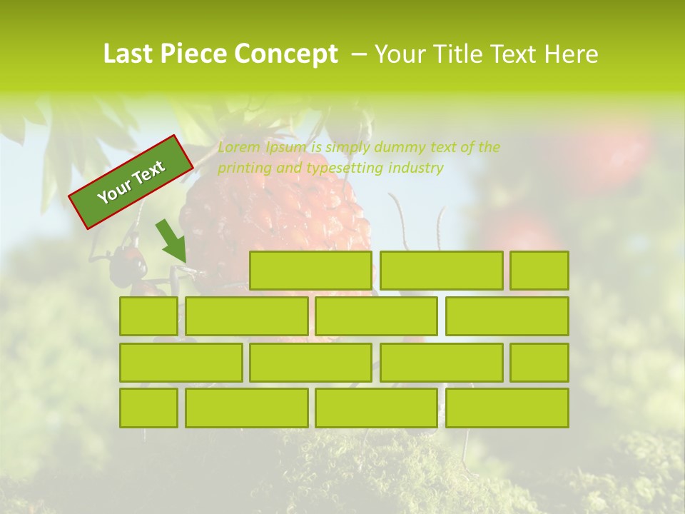 Ants Macro Tasty PowerPoint Template