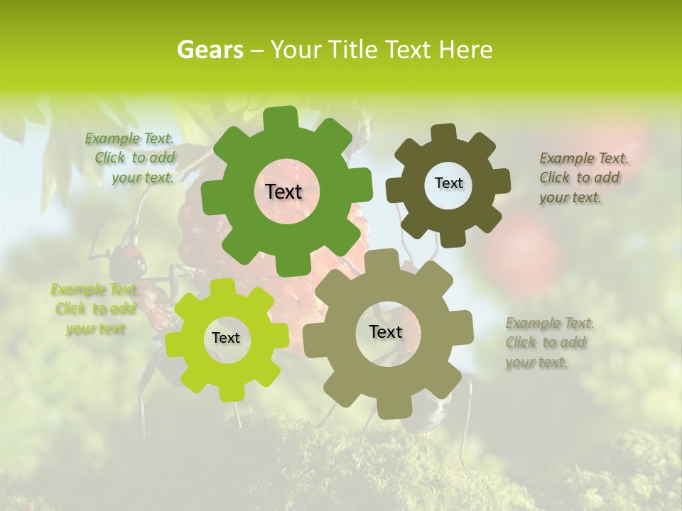 Ants Macro Tasty PowerPoint Template