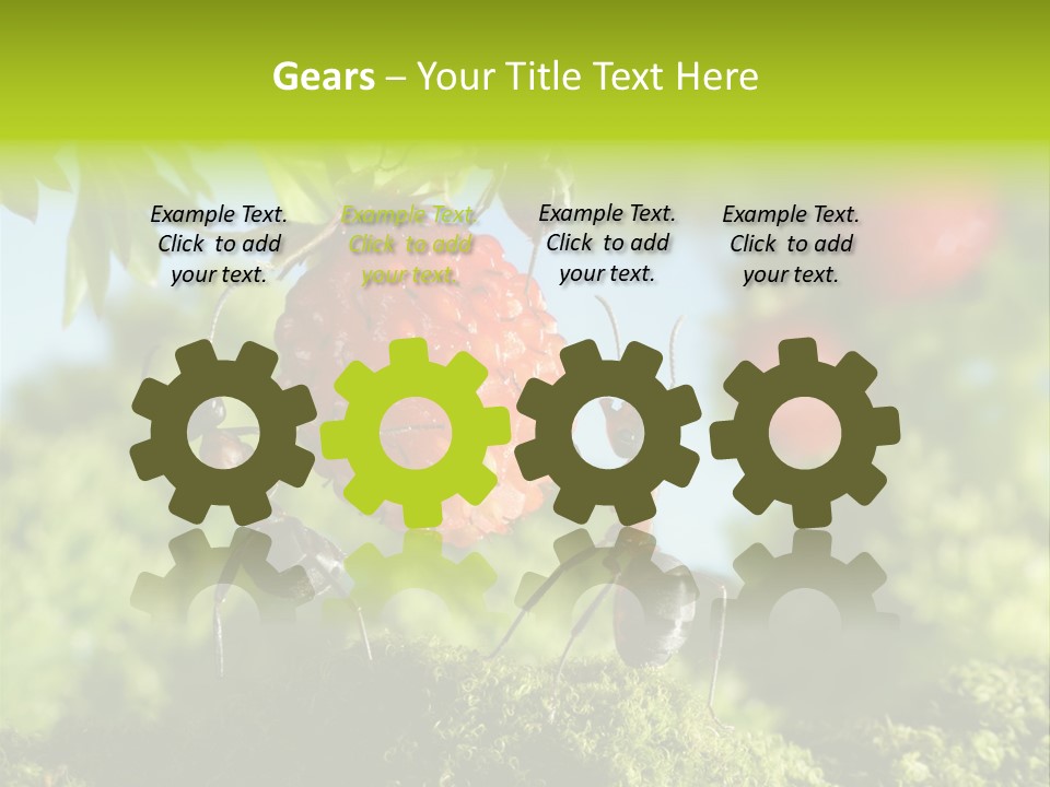 Ants Macro Tasty PowerPoint Template