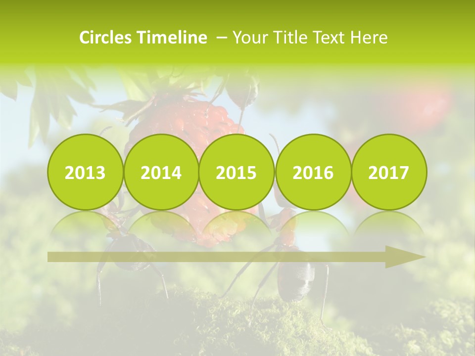 Ants Macro Tasty PowerPoint Template