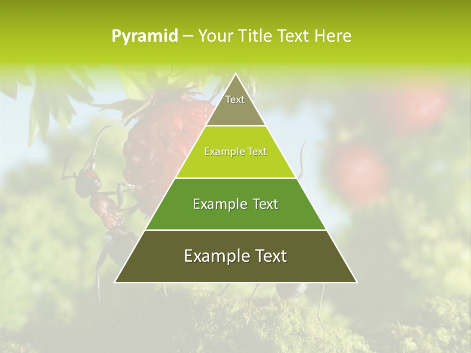 Ants Macro Tasty PowerPoint Template
