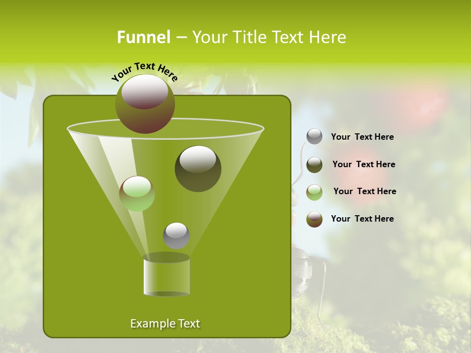 Ants Macro Tasty PowerPoint Template