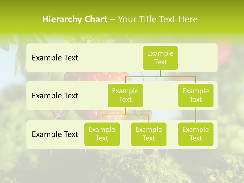 Ants Macro Tasty PowerPoint Template