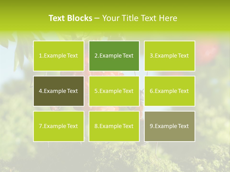 Ants Macro Tasty PowerPoint Template