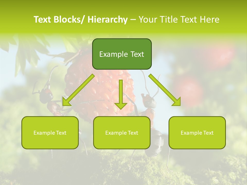 Ants Macro Tasty PowerPoint Template