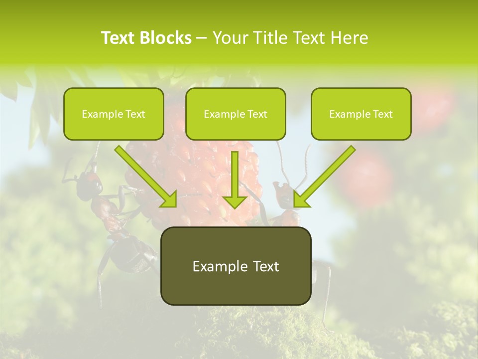 Ants Macro Tasty PowerPoint Template