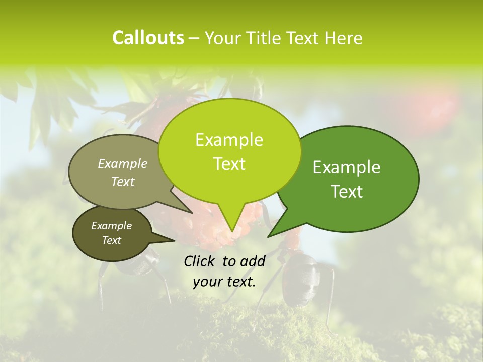 Ants Macro Tasty PowerPoint Template