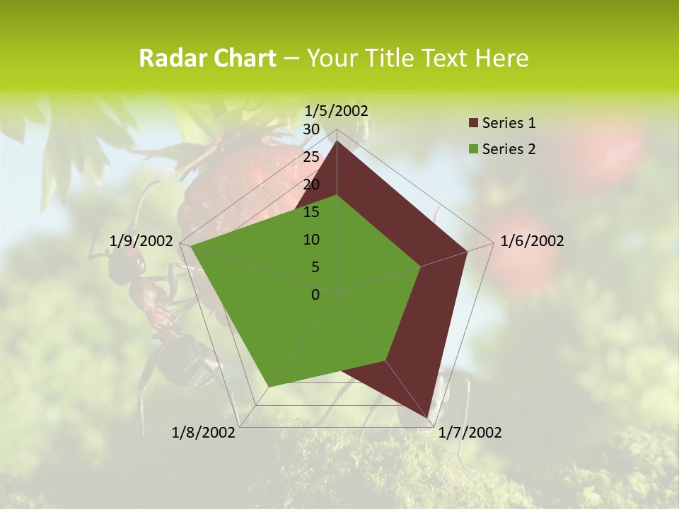 Ants Macro Tasty PowerPoint Template