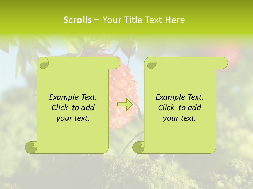 Ants Macro Tasty PowerPoint Template