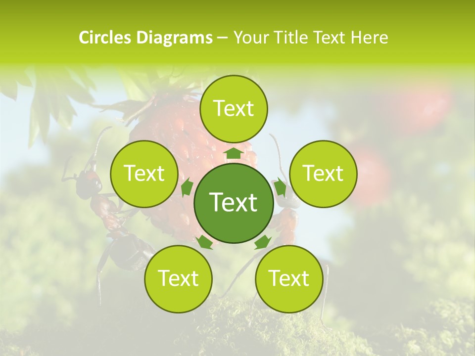 Ants Macro Tasty PowerPoint Template