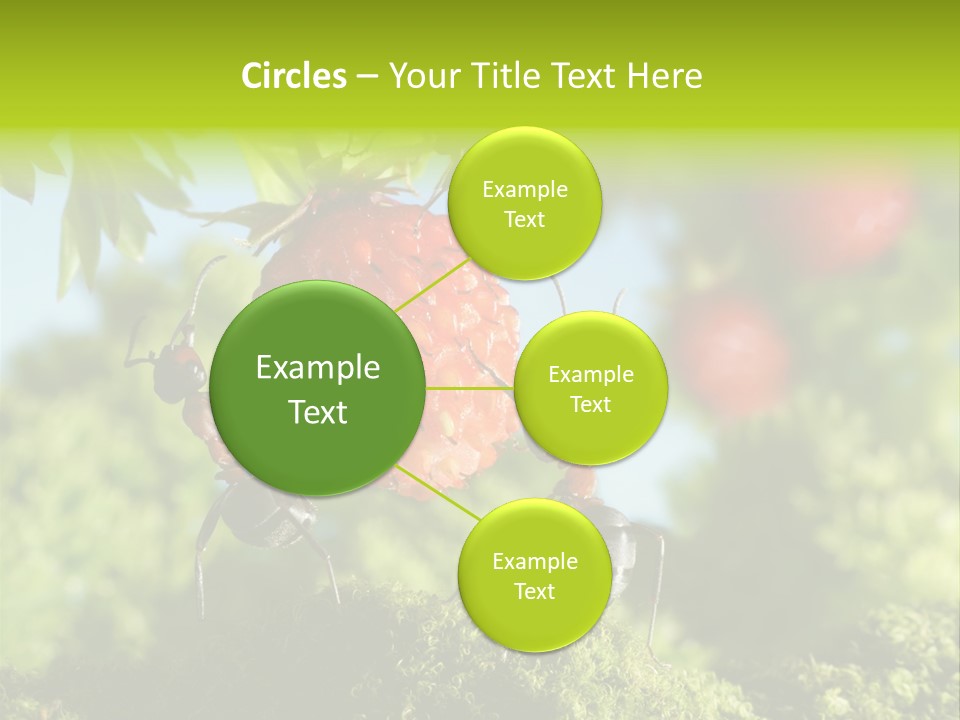 Ants Macro Tasty PowerPoint Template